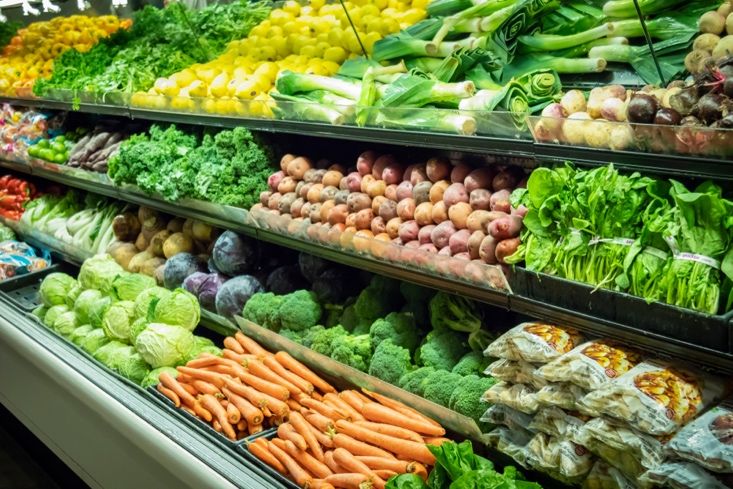 A grocery store produce section displays neatly arranged fresh vegetables, including carrots, lettuce, broccoli, potatoes, leeks, and yellow squash, all stacked on shelves in colorful rows.