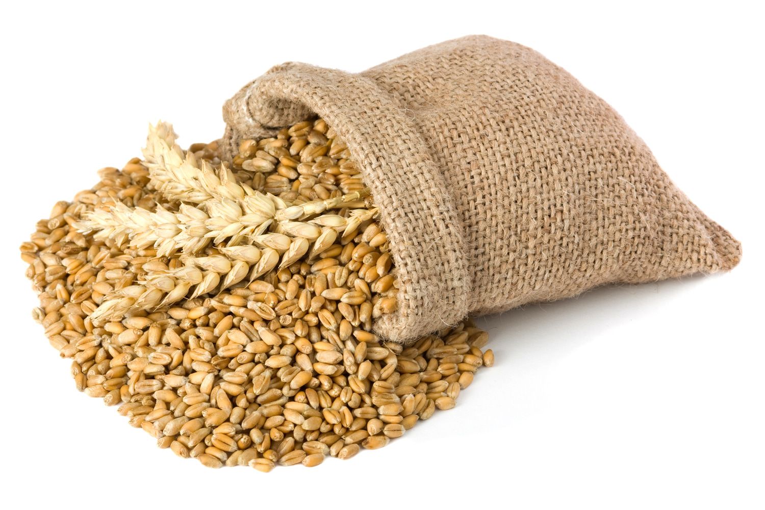 A burlap sack spilling wheat grains onto a white surface, with two wheat stalks resting on the pile—an image that evokes the streamlined efficiency of Dynamics 365 Finance in managing agricultural resources.