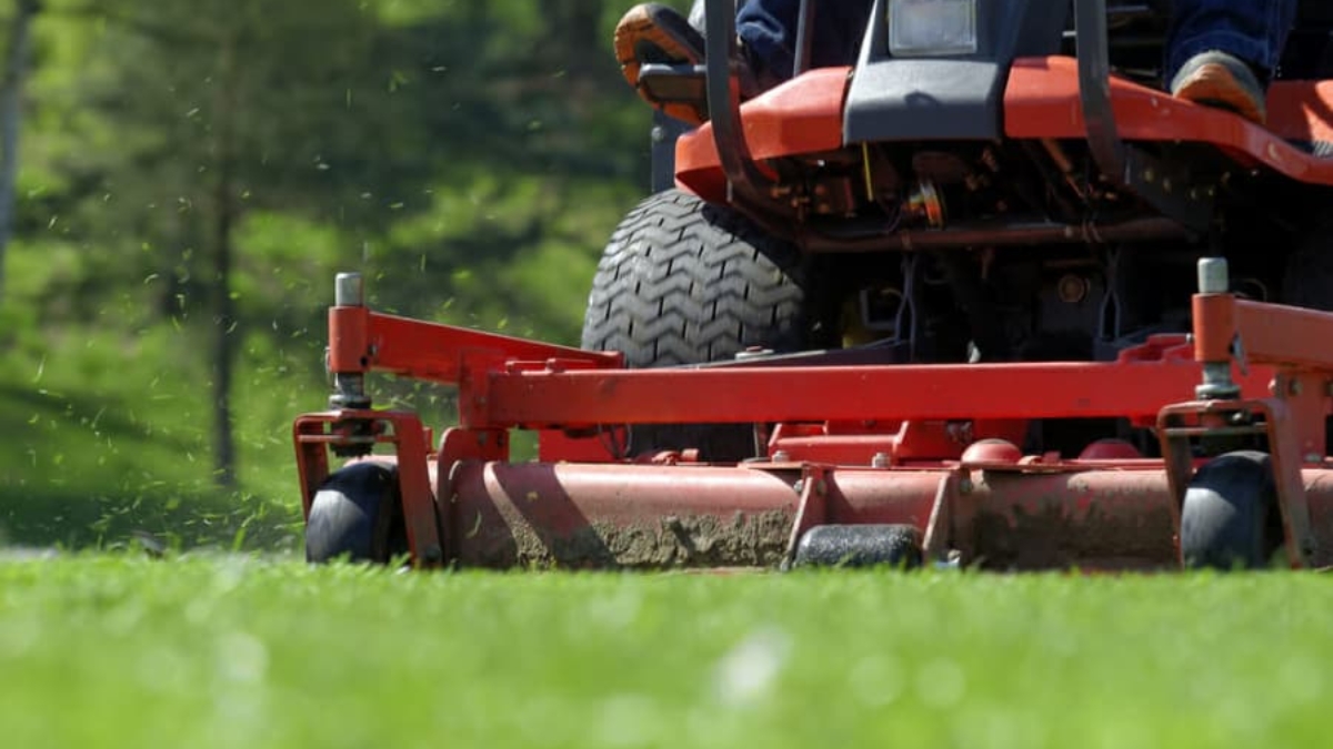 Close-up view of a person riding a red lawn mower, cutting green grass with grass clippings flying, and a blurred, lush background.