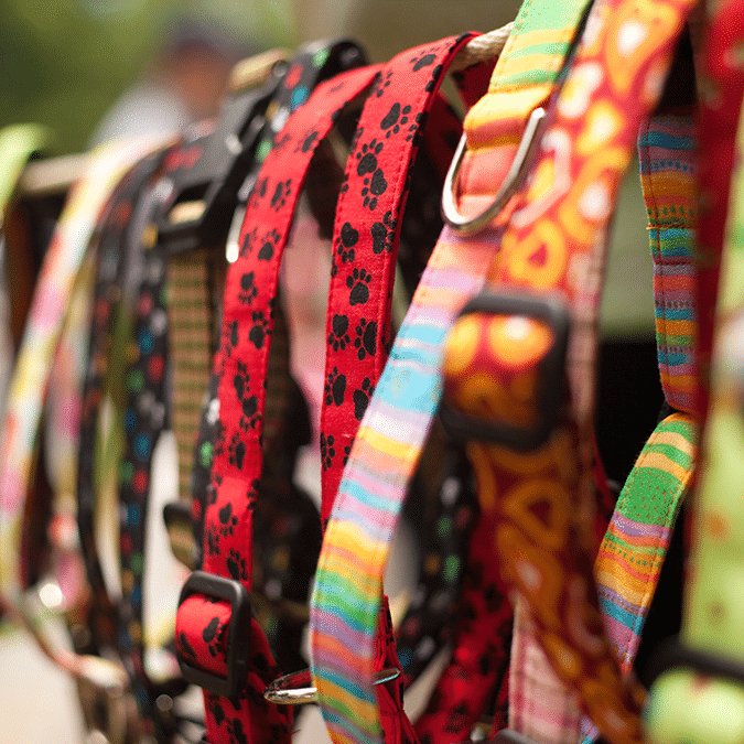 A close-up of several colorful dog collars hanging on a rack, with various patterns including red paws and multicolored stripes, slightly out of focus in the background.