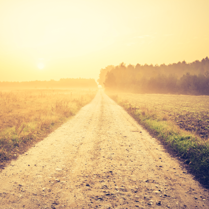 A dirt road stretches into the distance between fields, bathed in warm golden sunlight with a hazy sky and trees lining the horizon.