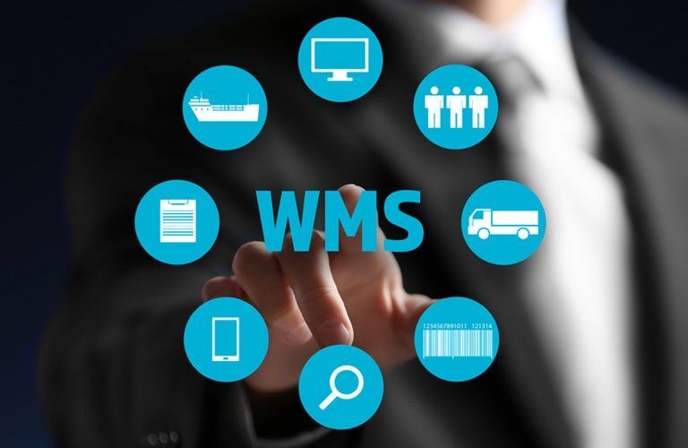 A person in a suit touches a transparent screen displaying WMS surrounded by blue circular icons, illustrating a warehouse management system case study with symbols for shipping, computer, people, truck, barcode, magnifying glass, smartphone, and checklist.