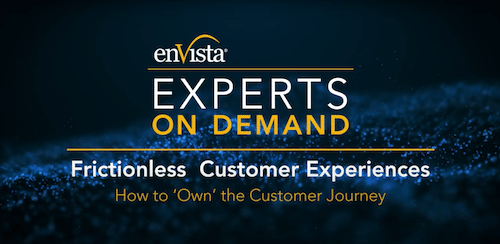 A promotional graphic for enVistas Experts On Demand featuring the text Frictionless Customer Experiences – How to Own the Customer Journey on a dark blue background with glowing light effects.
