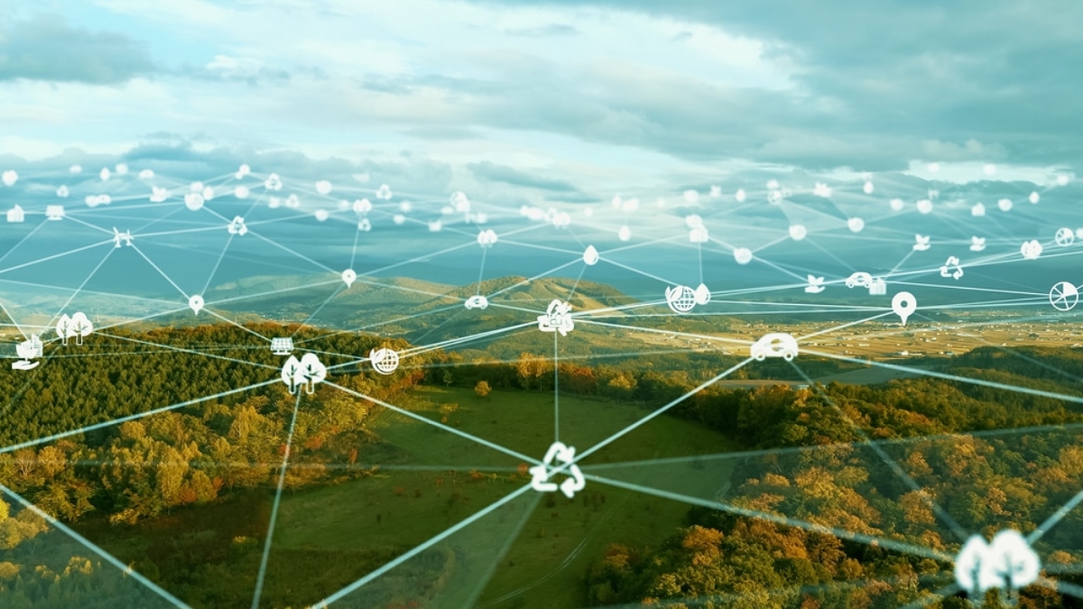A network of trees and a field illustrates the harmony achievable through sustainable logistics.