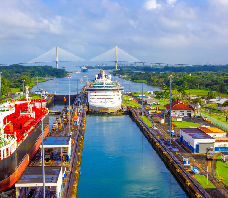 Large cargo and cruise ships pass through a canal lock, with a bridge and lush greenery in the background. Buildings focused on warehouse safety and roads line the lock, under a partly cloudy sky.